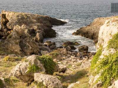 ...fino a quando non vediamo disvelarsi davanti ai nostri occhi l�ambito mare. Siamo nella foce della lama, un�insenatura dominata da scogli aguzzi e sporgenti, addolciti unicamente dal movimento dell�acqua limpida e dalle verdi foglie dell�edera che si arrampicano e si rincorrono sulle pareti frastagliate